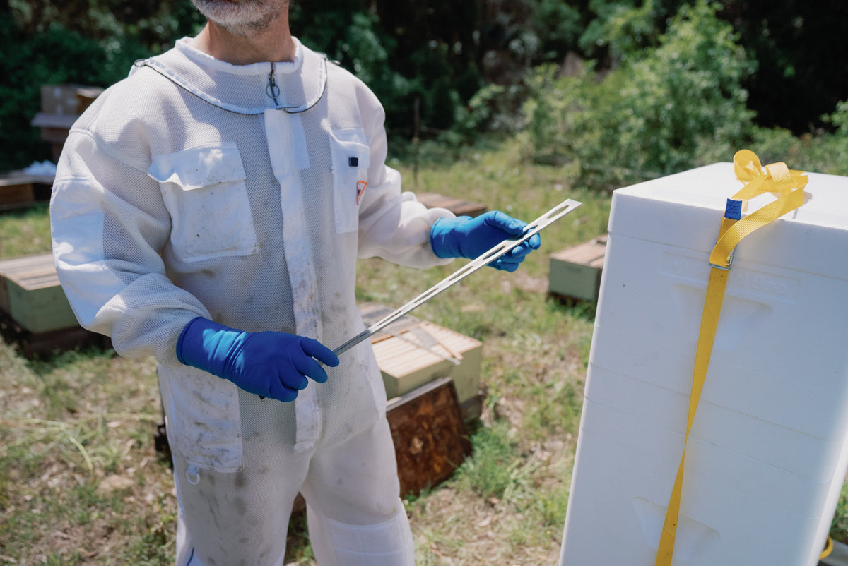 The treatment treadmill: when mite problems are really energy problems