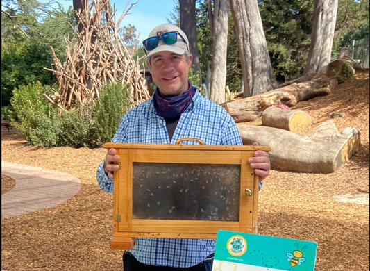From Backyard Hobby to $10,000+ Revenue: The Profitable Beekeeper's Journey