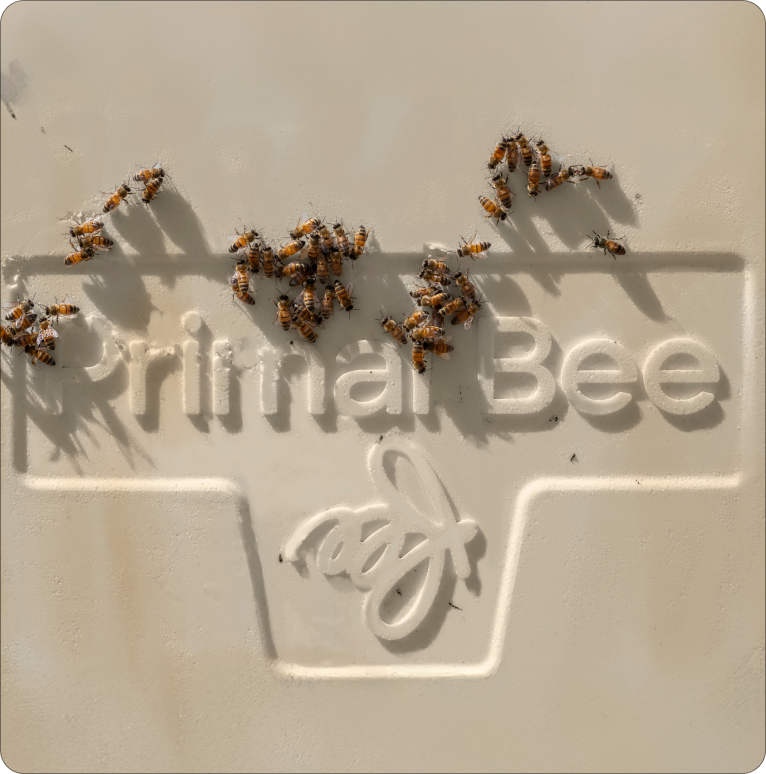 Primal Bee Hive Starter Kit