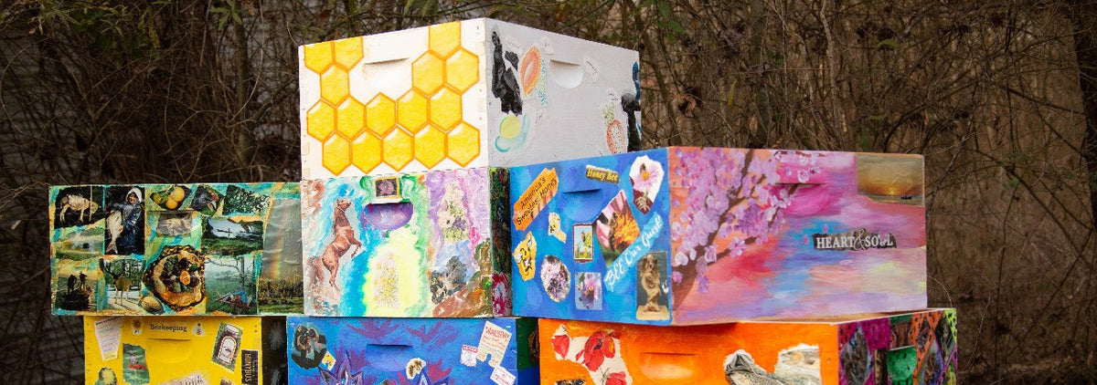 Therapeutic beekeeping: how bees are helping veterans, inmates, and at-risk youth