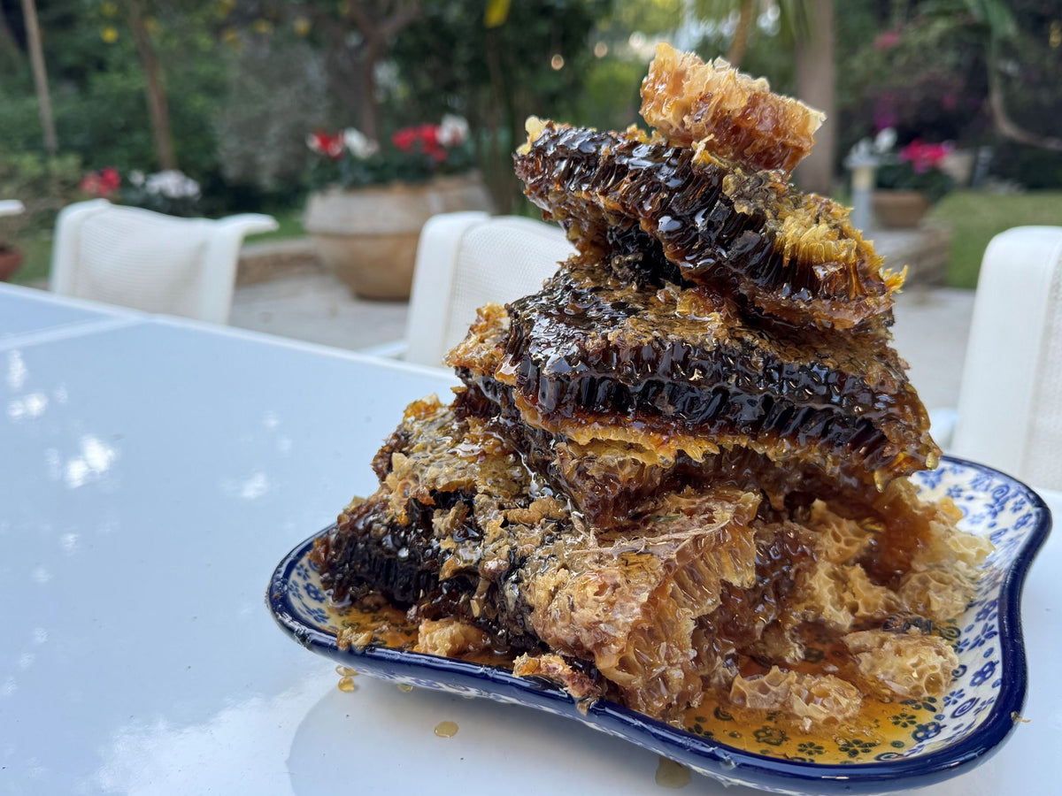 The Swiss Ambassador's first hive