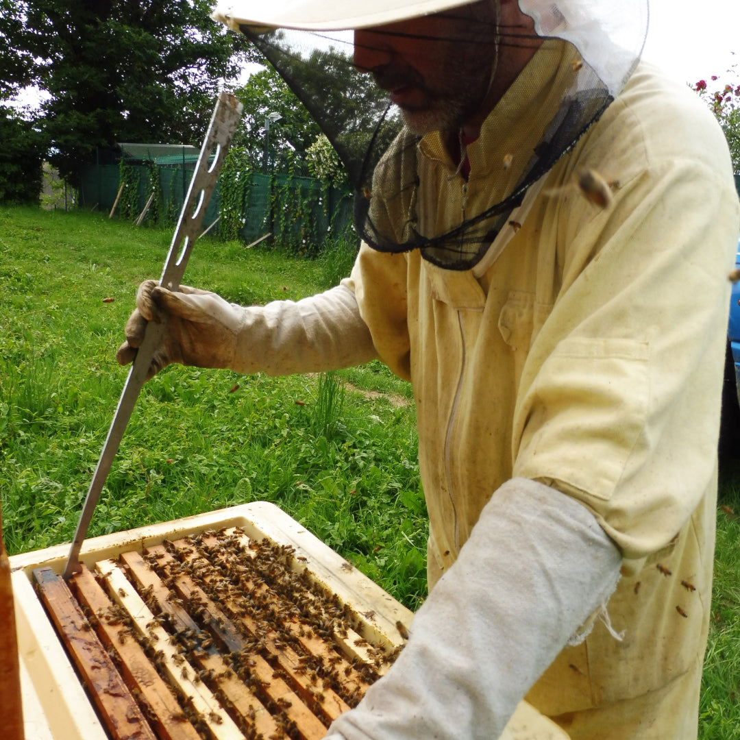 The simple tax guide for backyard beekeepers
