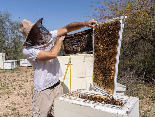 The biology-thermodynamics connection: What 170 years of hive design got wrong