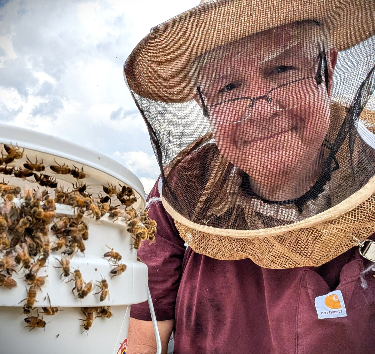 When the heat wave hit, one hive stayed cool