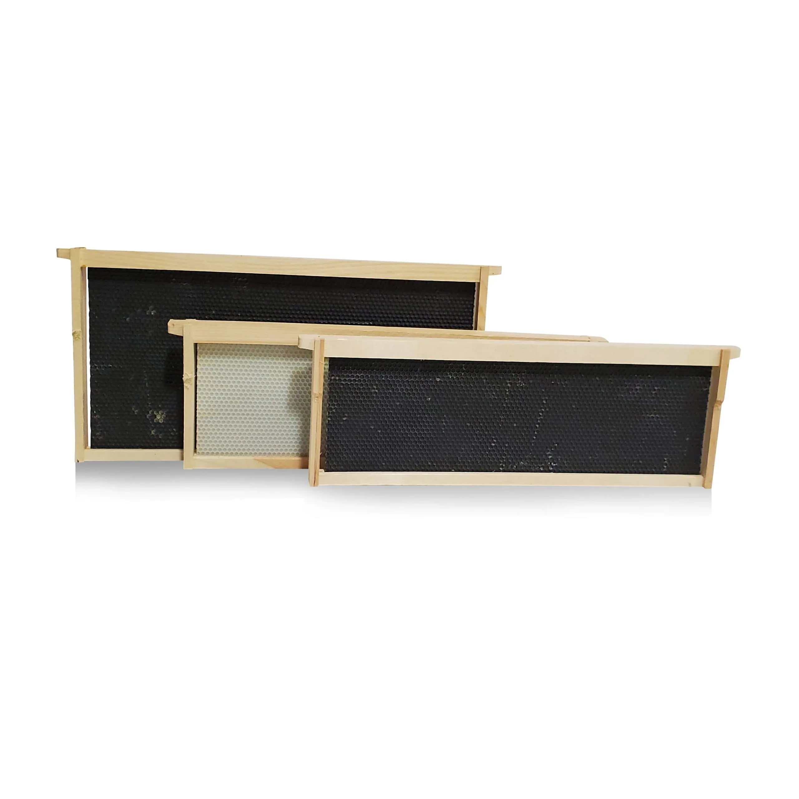 Super Frames with Double-Wax Foundation: 10-Pack