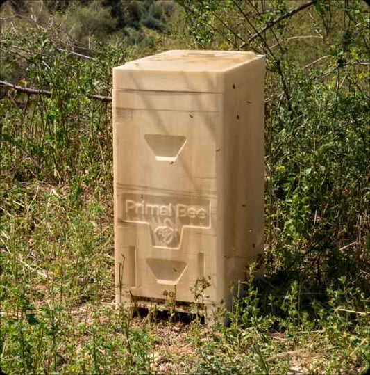 Primal Bee Hive Starter Kit