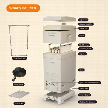 Primal Bee Hive Starter Kit