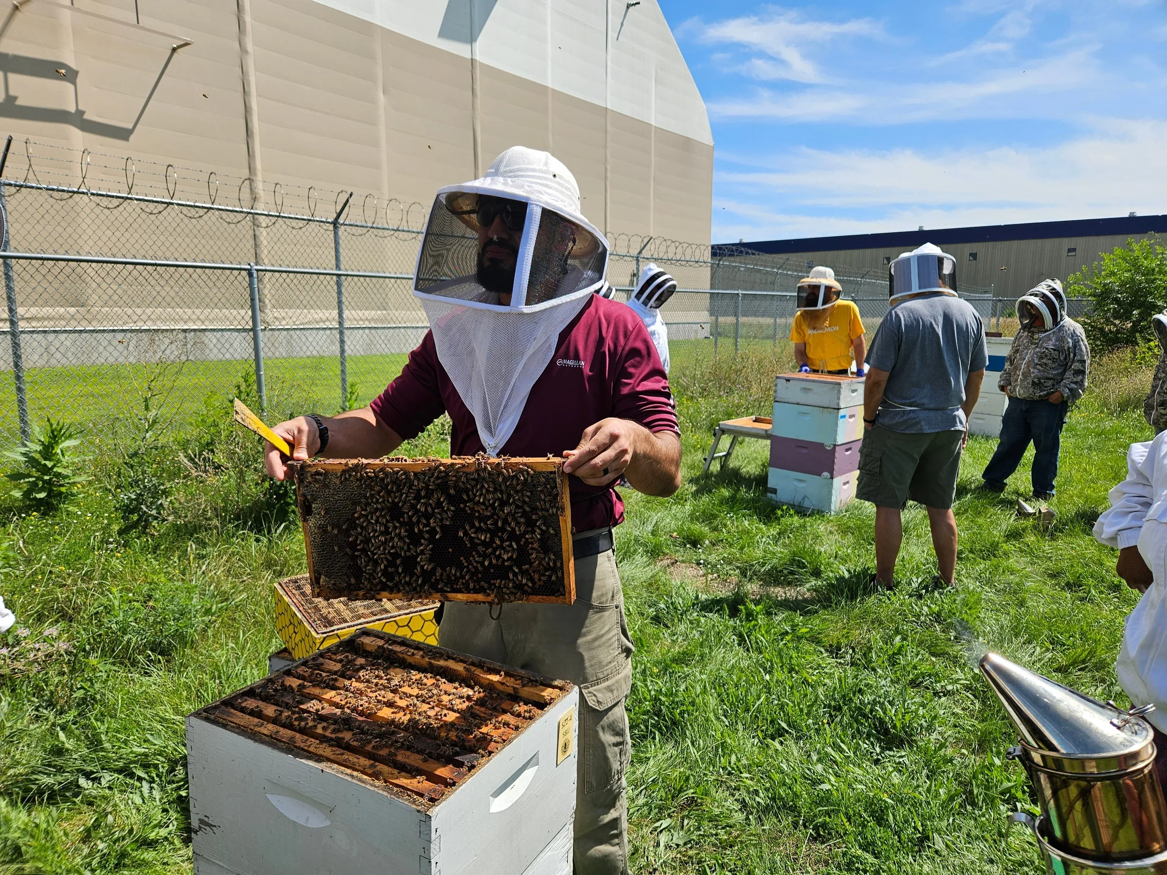 Veteran beekeeping programs in the US: a guide to the five major organizations
