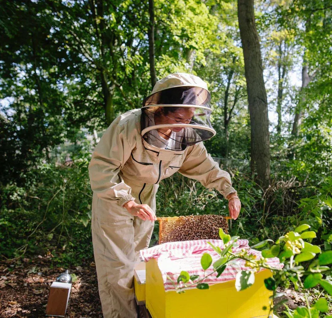 The women shaping the future of beekeeping